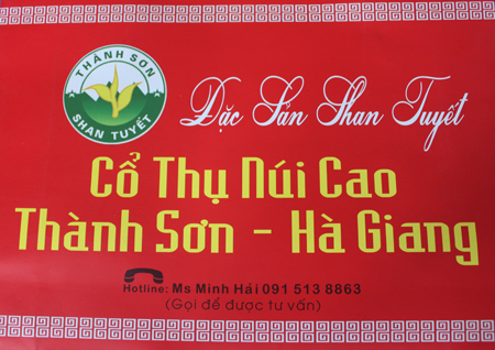 Bán loạiTrà San Tuyết Cổ Thụ- Trà siêu sạch, tuyệt ngon, thưởng thức hay làm quà